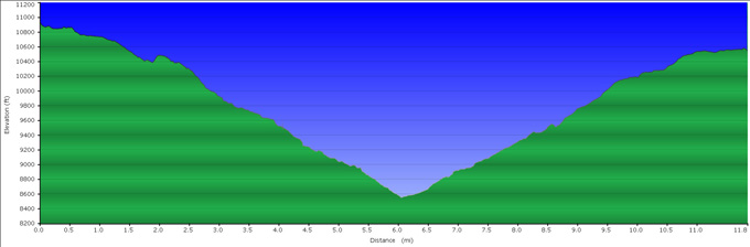 Profile from Woods Lakes to Rae Lakes